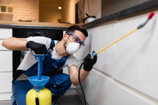 Best Local Pest Control Services  in Stuttgt, AR