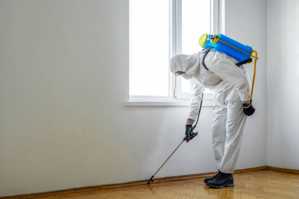 Best Best Pest Control Companies  in Stuttgt, AR