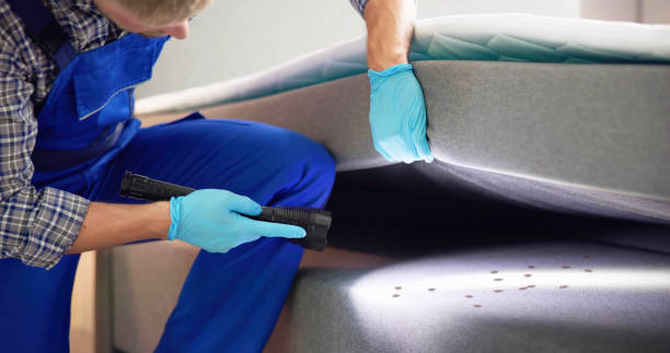 Best Pest Control Near Me  in Stuttgt, AR
