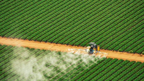 Best Pest Removal Services  in Stuttgt, AR