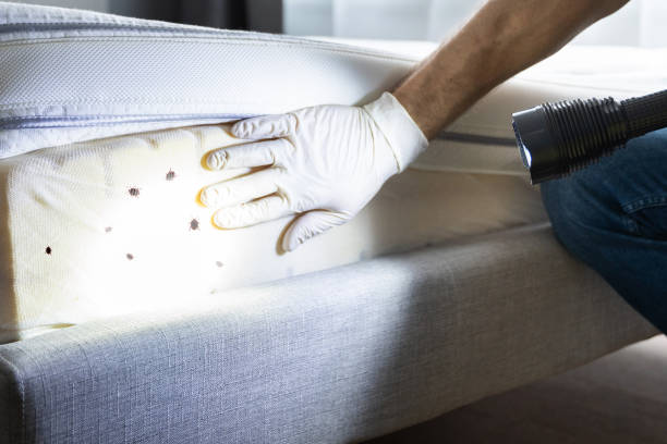 Best Best Pest Control Near Me  in Stuttgt, AR