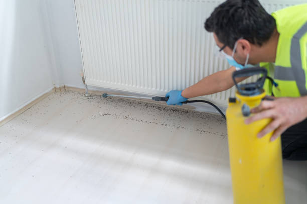 Pest Control for Restaurants in Stuttgart, AR