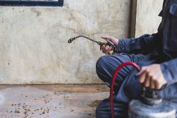 Pest Prevention Services in Stuttgart, AR